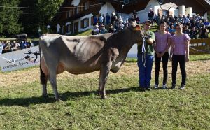 Schneuter ltere klein